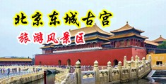 靠逼日屌中国北京-东城古宫旅游风景区